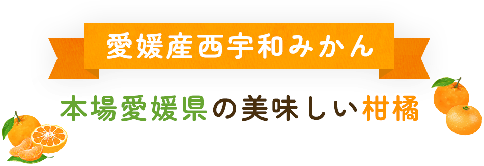 愛媛産西宇和みかん　本場愛媛県のおいしい柑橘